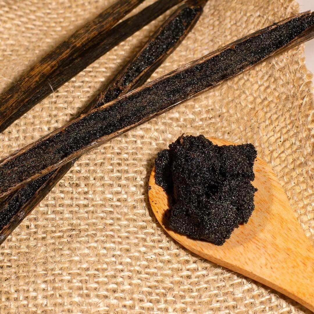 Premium cured vanilla beans with high vanillin content